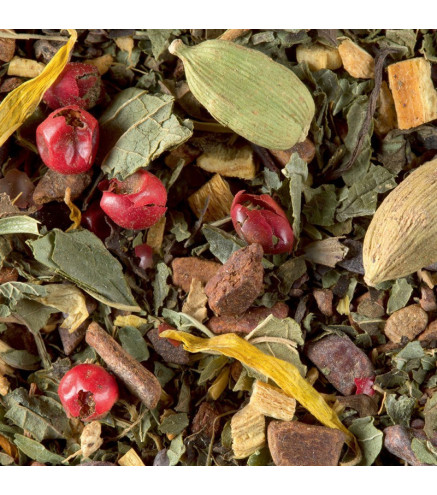 Tisane de Noël Dammann Frères – Chocolat et Épices