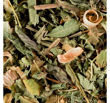 Tisane du Berger Dammann Frères – Menthe, Verveine et Tilleul