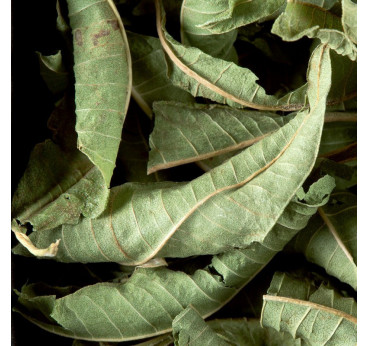 Tisane Verveine Dammann Frères – Infusion Naturelle