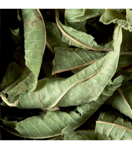 Tisane Verveine Dammann Frères – Infusion Naturelle