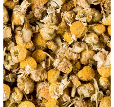 Tisane Camomille Dammann Frères – Infusion Naturelle