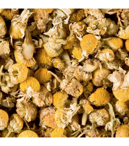 Tisane Camomille Dammann Frères – Infusion Naturelle