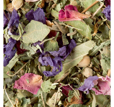 Tisane des Merveilles Dammann Frères – Fruits Rouges et Rose