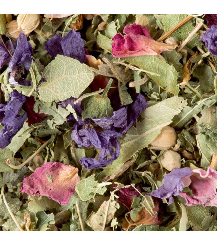 Tisane des Merveilles Dammann Frères – Fruits Rouges et Rose