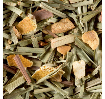 Tisane Fidji Dammann Frères – Citron Vert et Gingembre