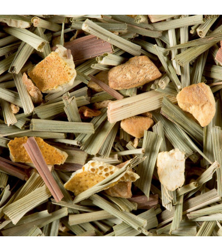 Tisane Fidji Dammann Frères – Citron Vert et Gingembre