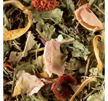 Tisane Nuit à Versailles Dammann Frères – Infusion Fruitée