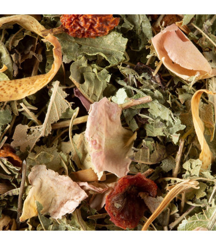 Tisane Nuit à Versailles Dammann Frères – Infusion Fruitée