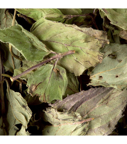 Tisane Menthe Poivrée Dammann Frères – Infusion Naturelle