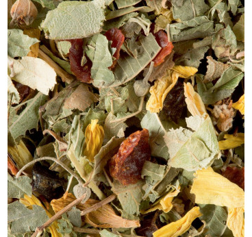 Tisane de la Reyne  - Dammann Frères