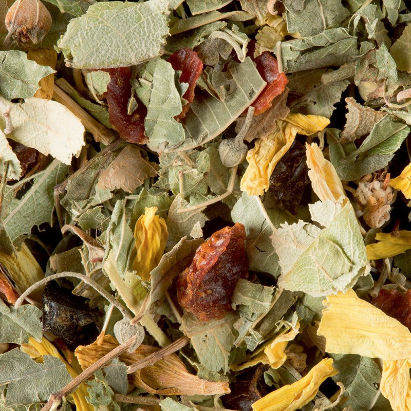 Tisane - de la Reyne Tisane - de la Reyne