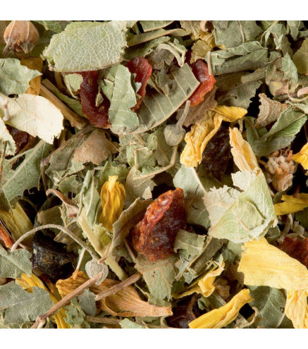 Tisane de la Reyne Dammann Frères – Citron Vert et Passion