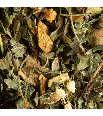 Tisane Magic Ginger Dammann Frères – Gingembre et Citron Vert