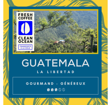 Café La Mochilita Guatemala – Arabica Torréfié en Normandie