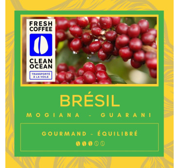 Café Guarani Brésil – Arabica Torréfié en Normandie