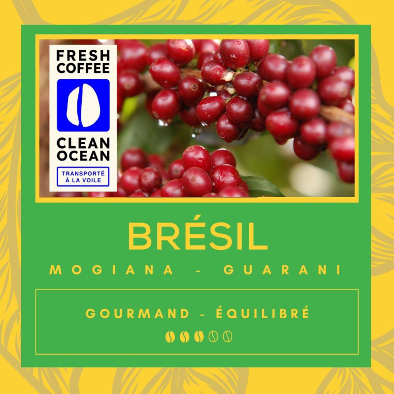 Café Brésil - Mogiana - Guarani