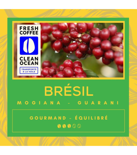 Café Guarani Brésil – Arabica Torréfié en Normandie