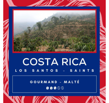 Café Costa Rica - Tarrazu - Buho - Secret des Arômes