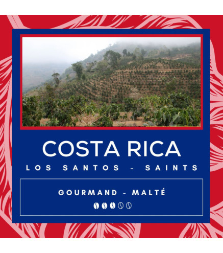 Café Costa Rica - Tarrazu - Buho - Secret des Arômes