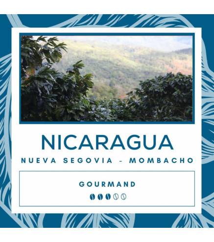Café Mombacho Nicaragua – Cacao, Noix, Caramel | Torréfié en Normandie