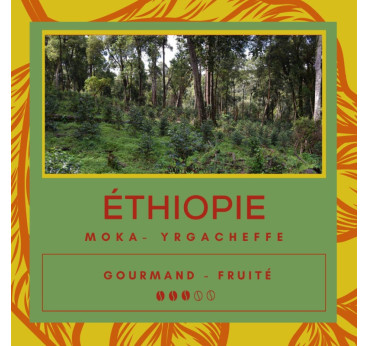 Café Éthiopie - Moka - Yirgacheffe - Secret des Arômes