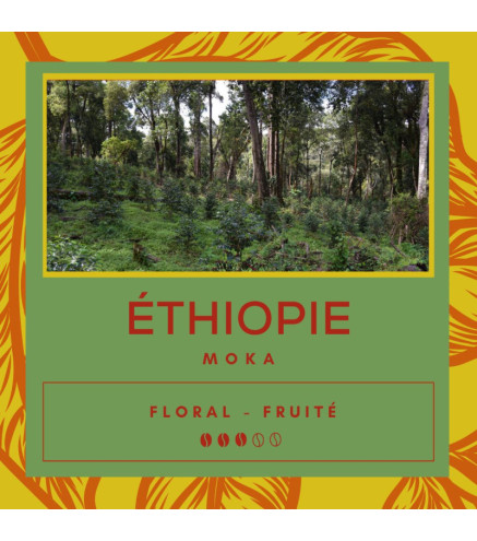 Café Ethiopie - Moka - Sidamo - Secret des Arômes