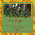 Café Ethiopie - Moka - Sidamo
