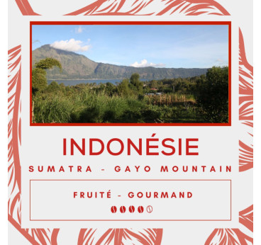 Café Indonésie Sumatra - Gayo Mountain - Secret des Arômes