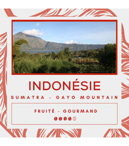 Café Indonésie Sumatra - Gayo Mountain - Secret des Arômes