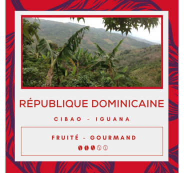 Café République Dominicaine Cibao - San José de Ocoa
