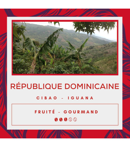 Café République Dominicaine Cibao - San José de Ocoa