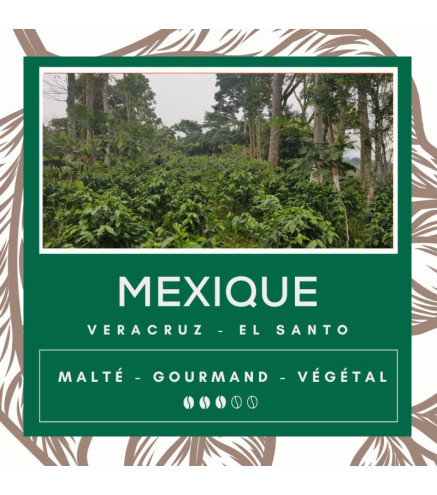 Café Mexique Veracruz - El Santo