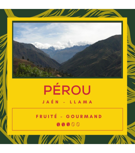 Café Pérou - Jaén - Llama - Secret des Arômes