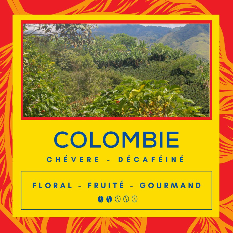 Café Colombie Chévere - Décaféiné Café Colombie Chévere - Décaféiné