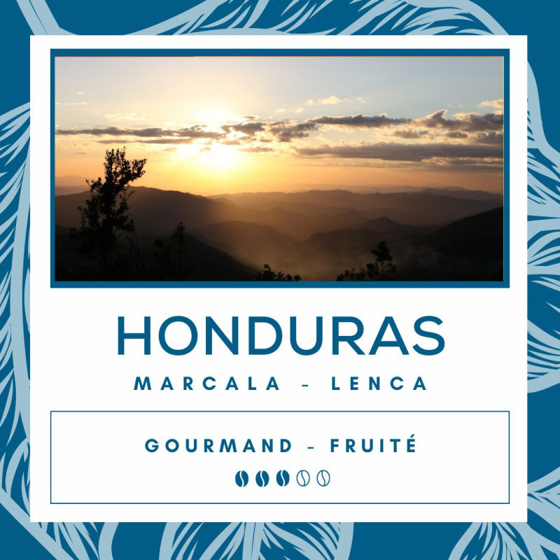 Café Honduras - Marcala - Lenca