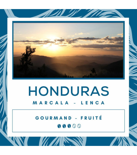 Café Honduras - Marcal - Lenca - Secret des Arômes