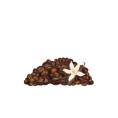 Café Aromatisé - Crème de vanille