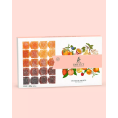 Coffret Dix Fruits 400 g – François Doucet Coffret Dix Fruits 400 g – François Doucet