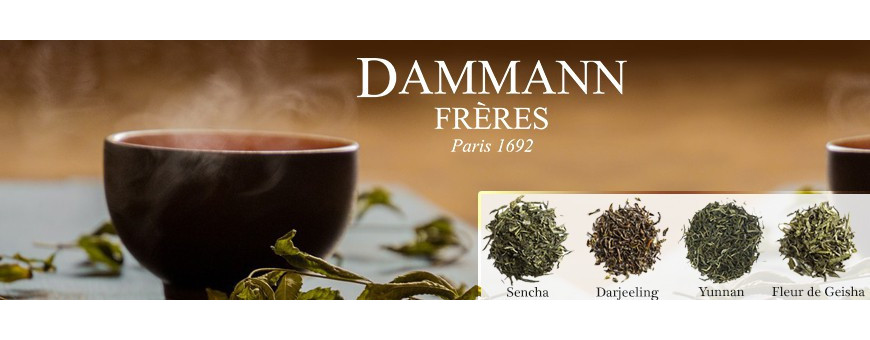 Vente de thés vert en sachet Dammann Frères - Secret des Arômes