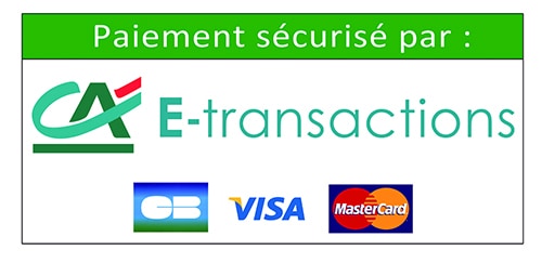 E-transaction