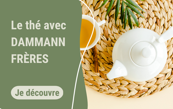 Thé Vert Gunpowder - Dammann® Tea Sachets - illy Shop